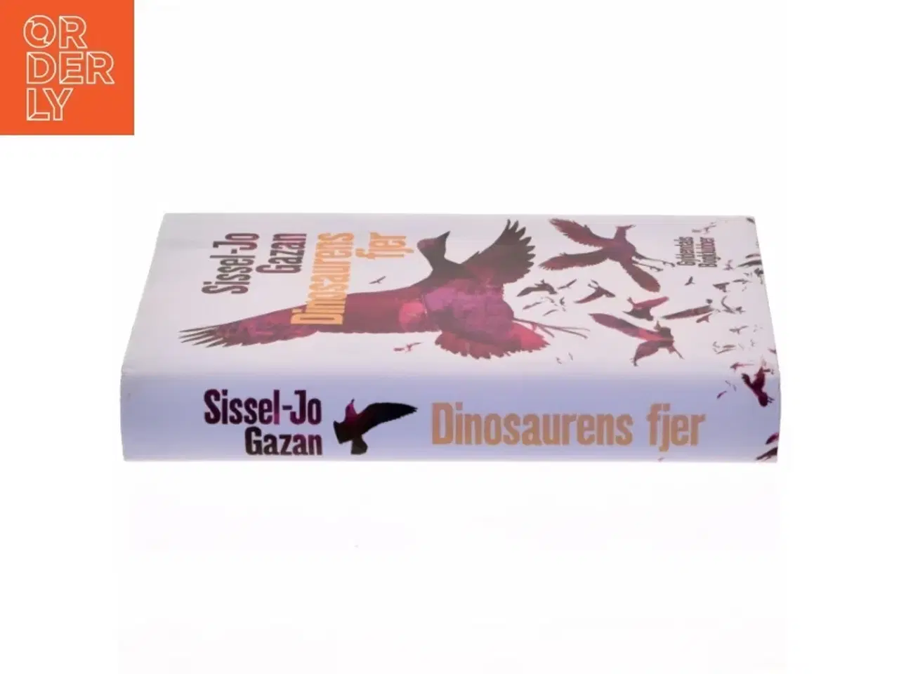 Billede 2 - Dinosaurens fjer af Sissel-Jo Gazan (Bog)