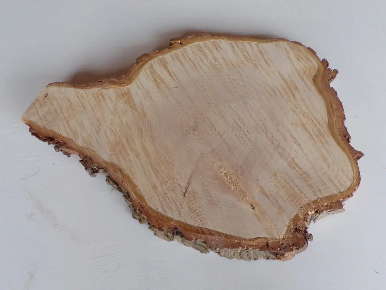 Billede 1 - NY Thuja Træskive med bark 36 cm lang