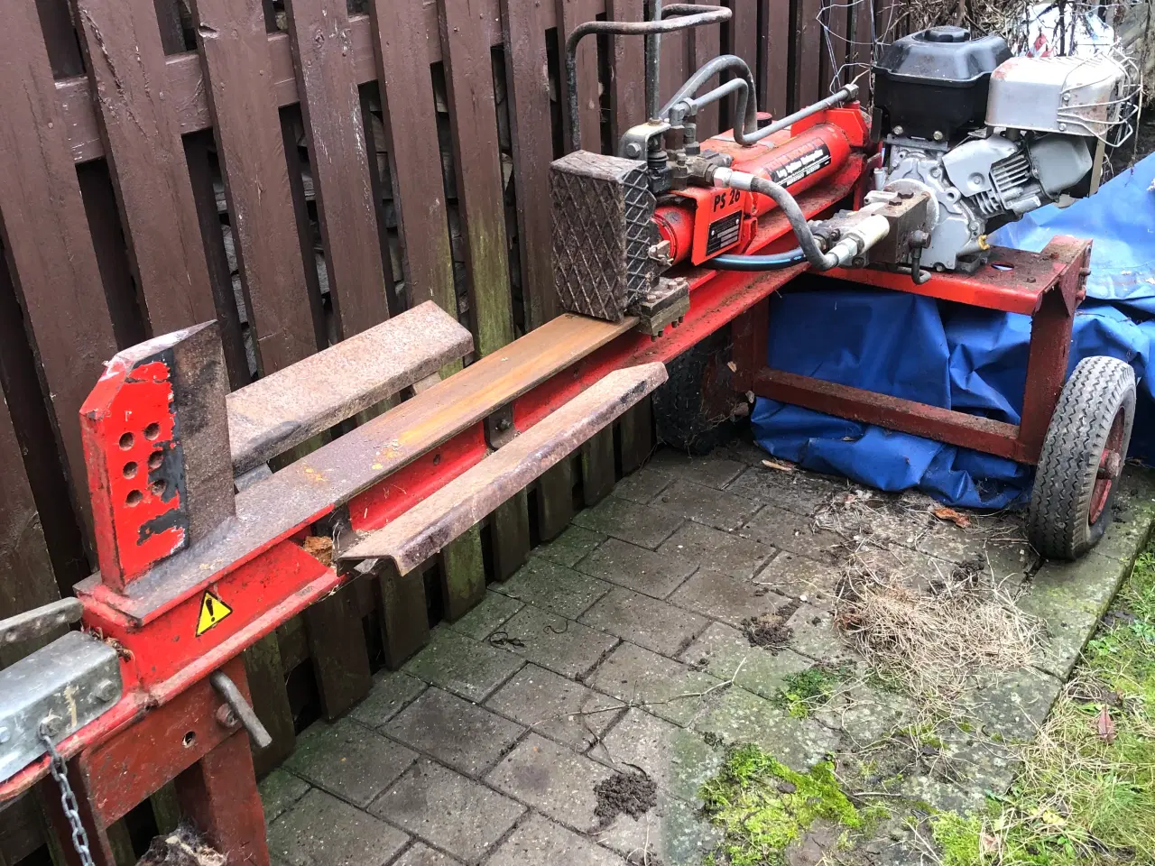 Billede 1 - Brændekløver 