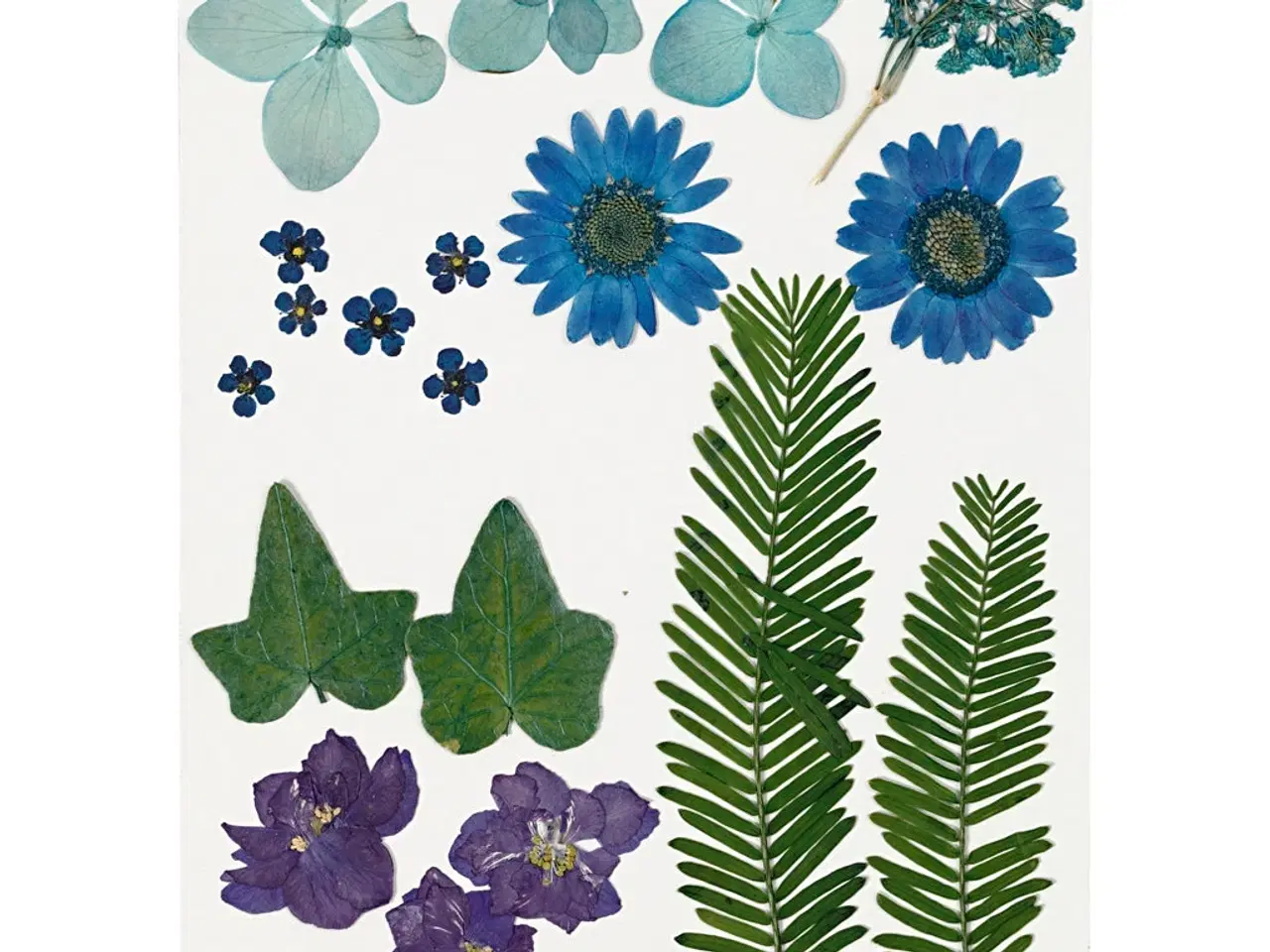 Billede 1 - Tørrede blomster og blade, blå, 1 pk.