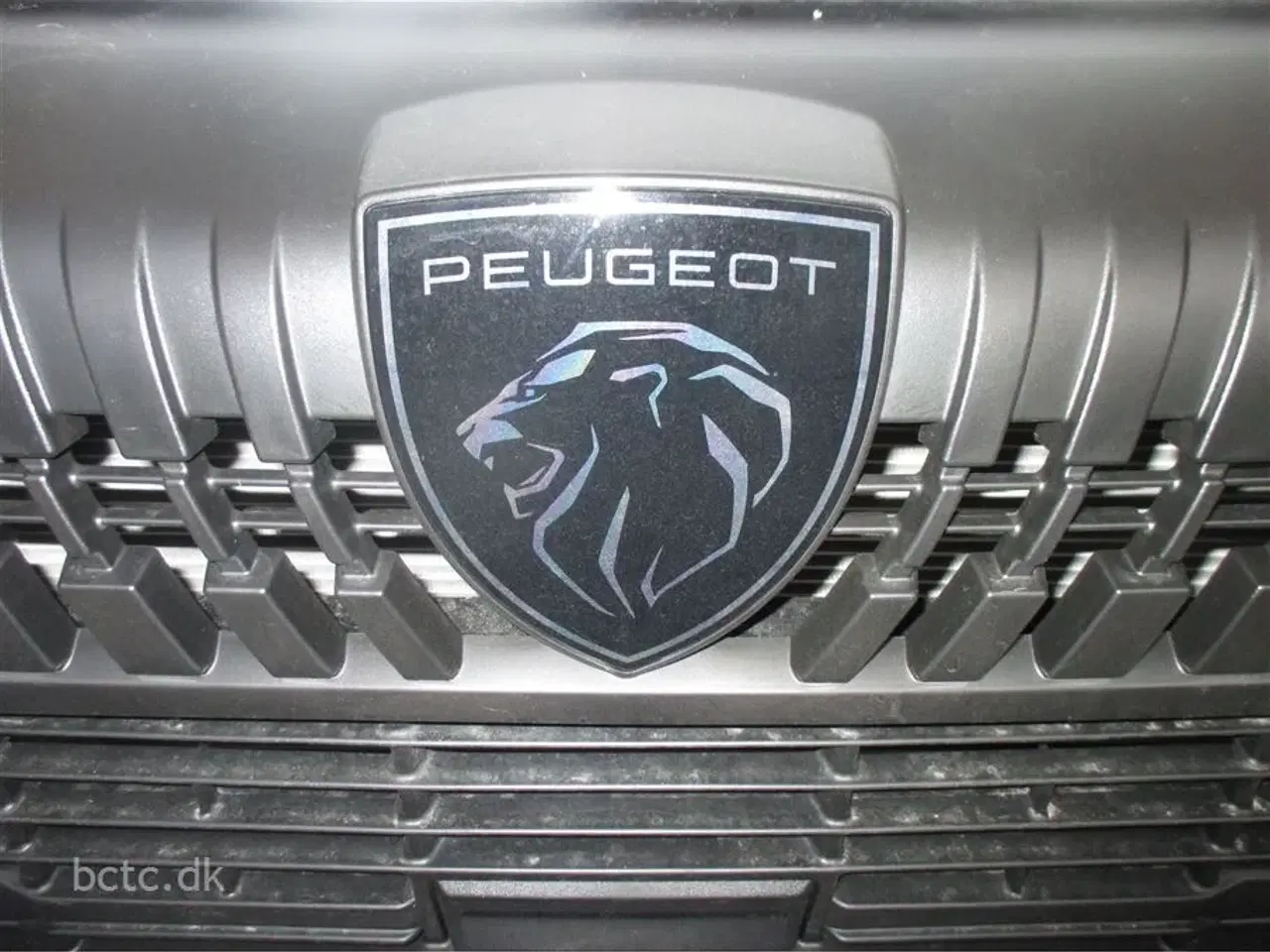 Billede 2 - 2026 - Giottiline Sienna