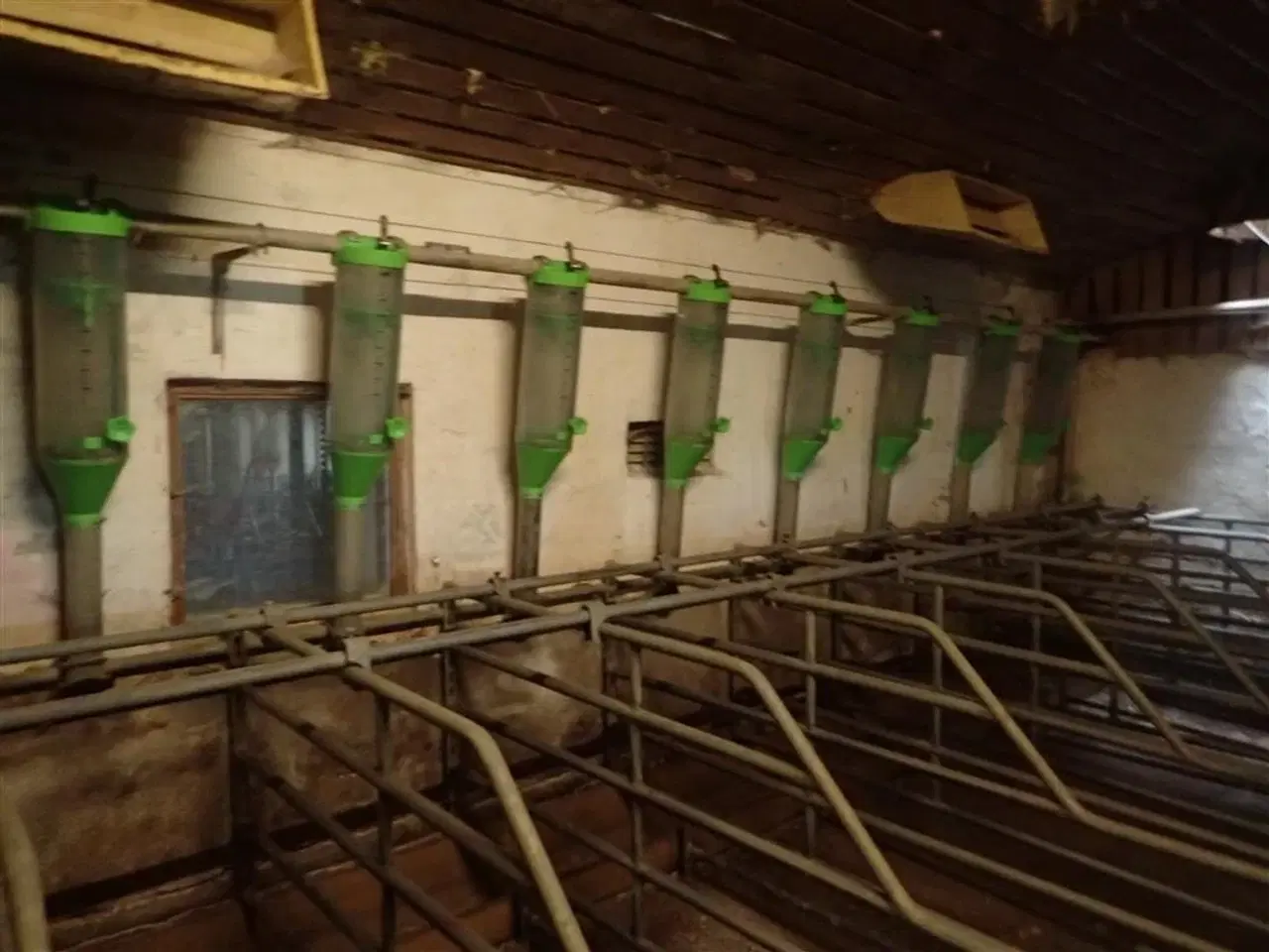 Billede 4 - Funki ca. 200 stk. røde AFHENTNING UDEN BEREGNING