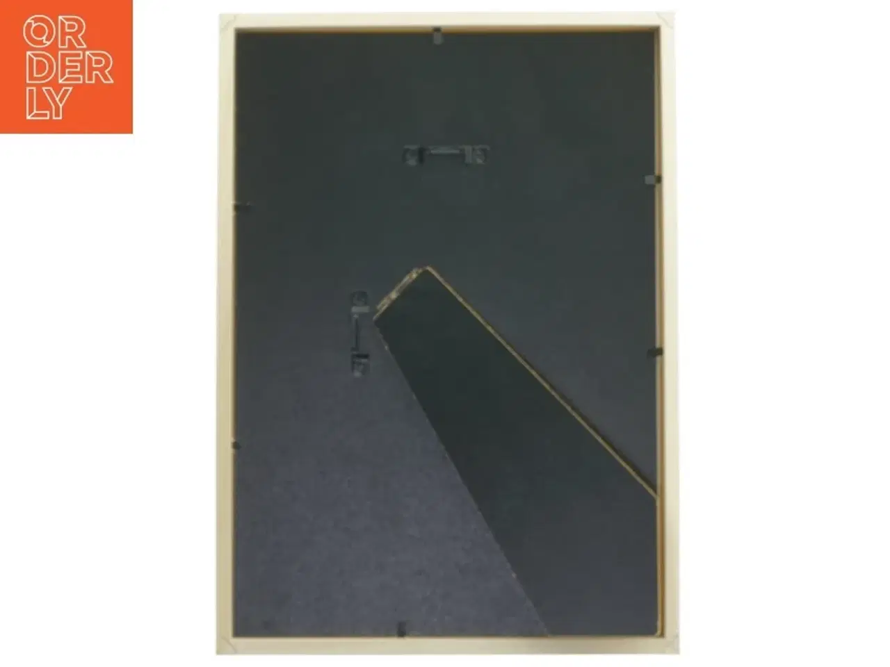 Billede 2 - Dinosaurillustration i ramme (str. 32x23 cm)