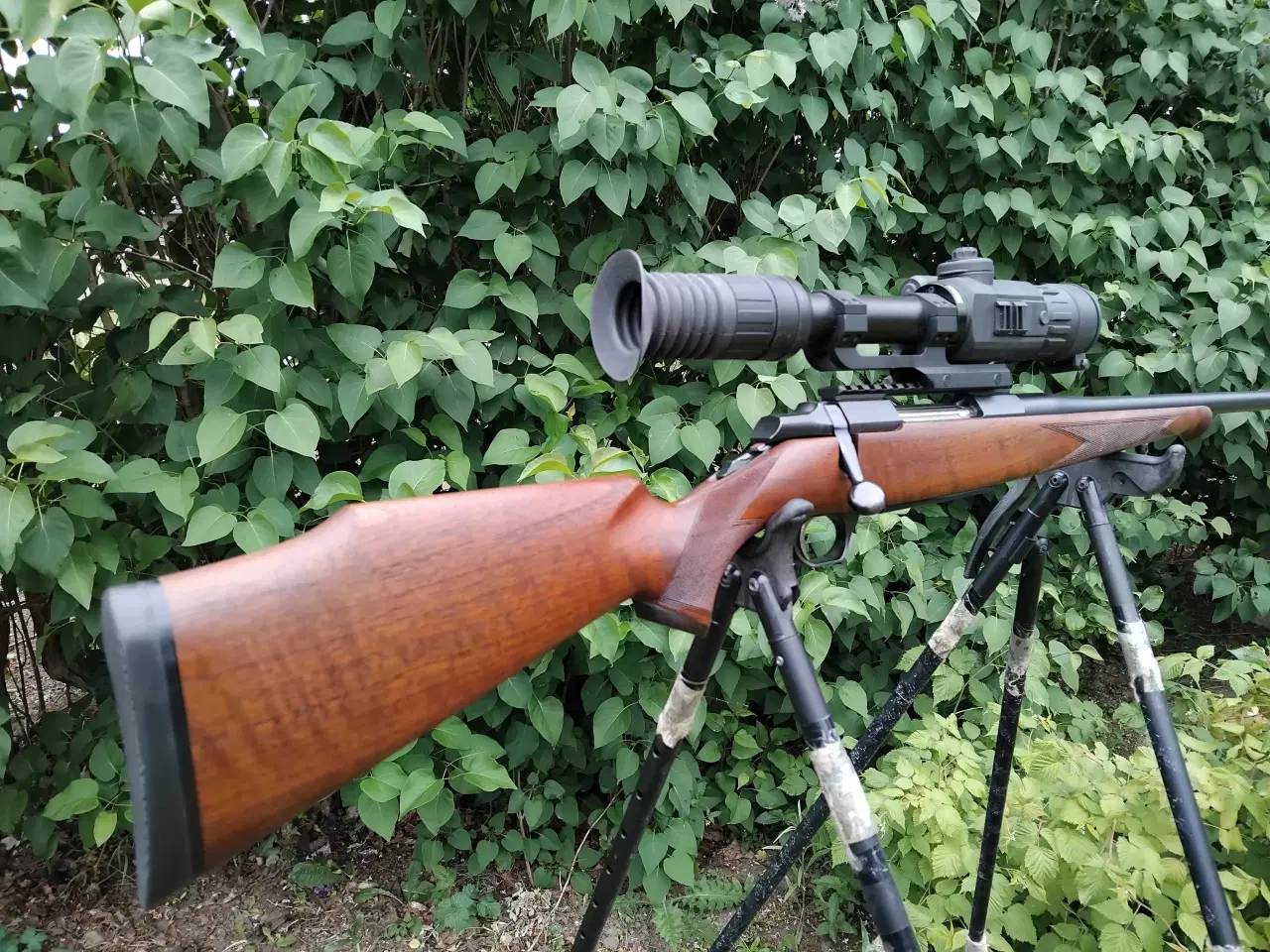 Billede 3 - Browning A-bolt 7mm Rem Mag 