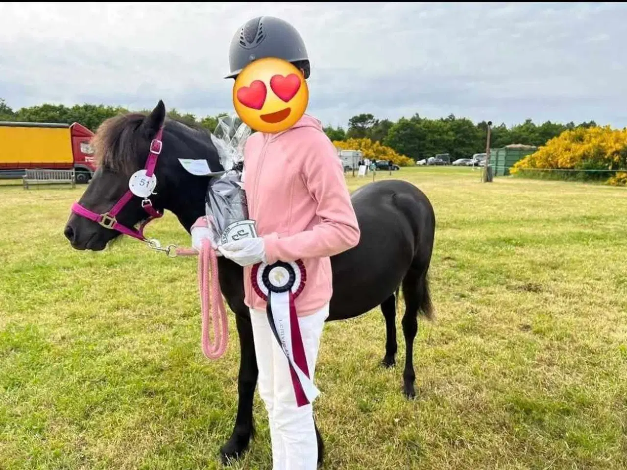 Billede 5 -  Dartmoor, Skuets Bedste Fritidshest!