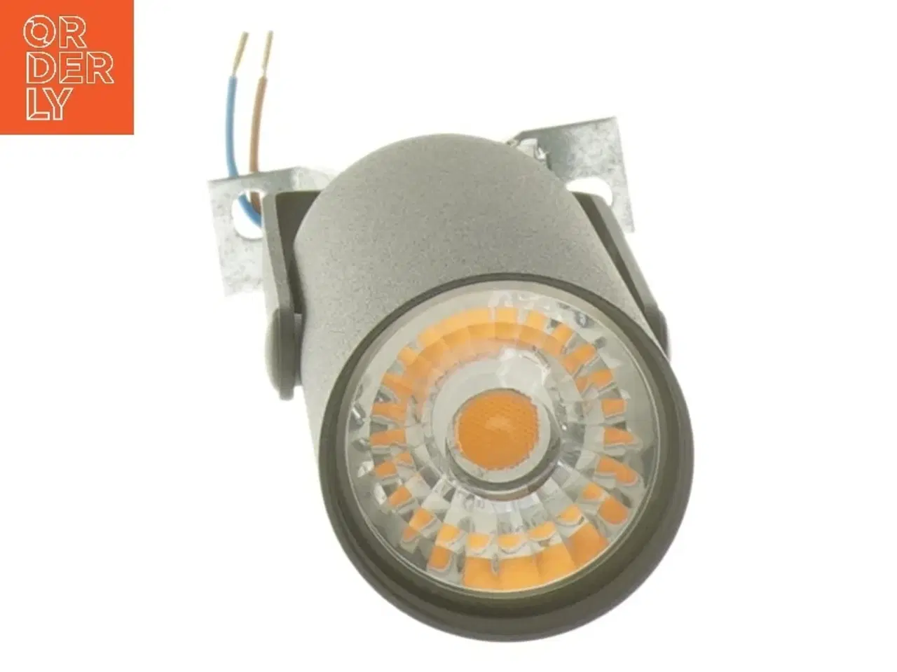 Billede 2 - Sort spot (str. 20 cm)