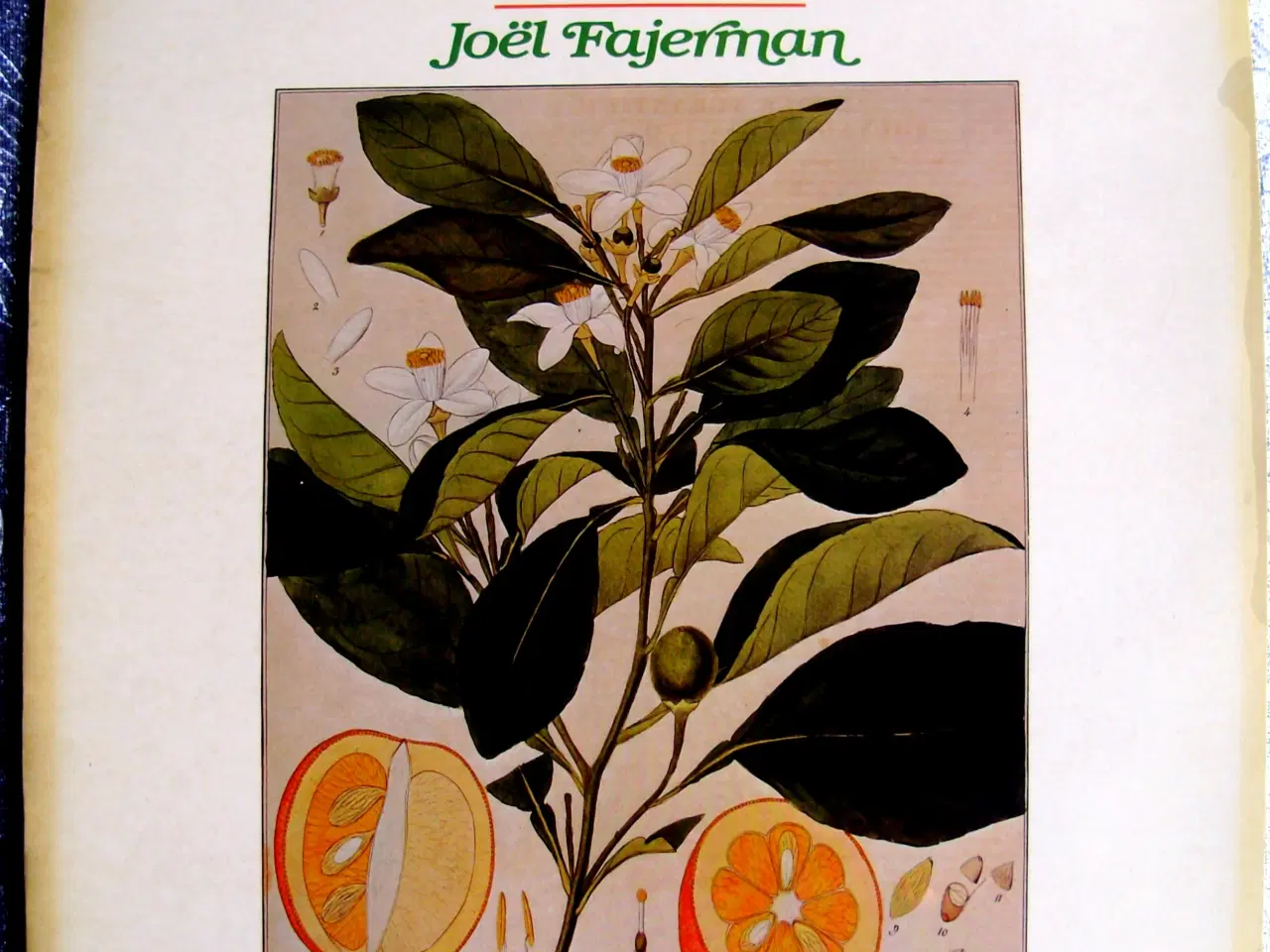 Billede 1 - TV-soundtrack Planternes Historie LP