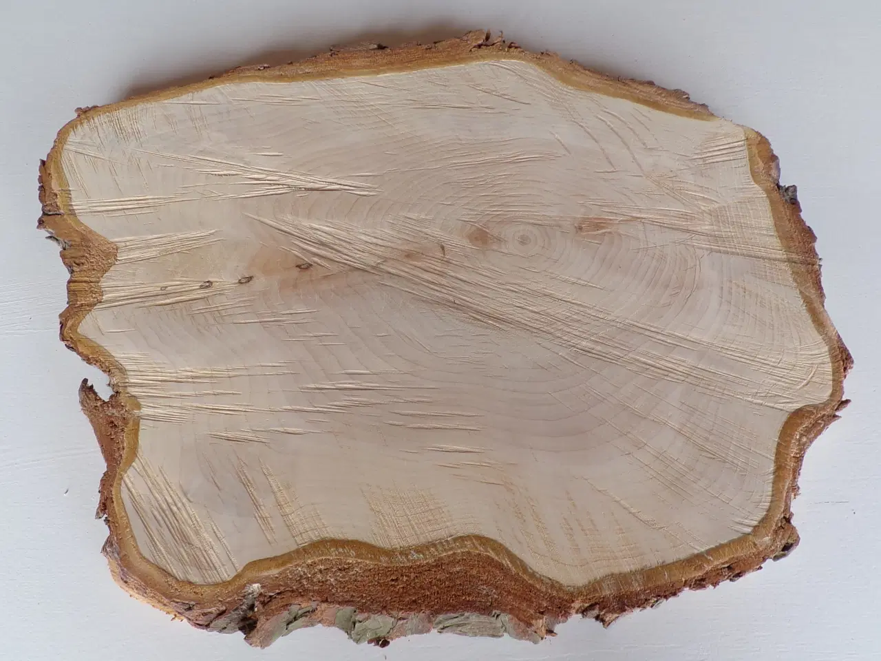 Billede 1 - NY Thuja Træskive med bark 41 cm lang