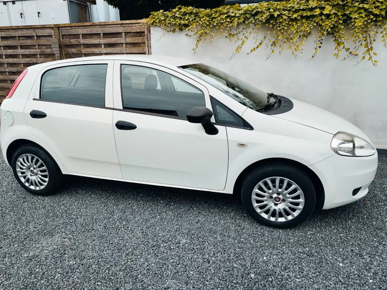 Billede 12 - Fiat Punto Evo 1,2 69 Active