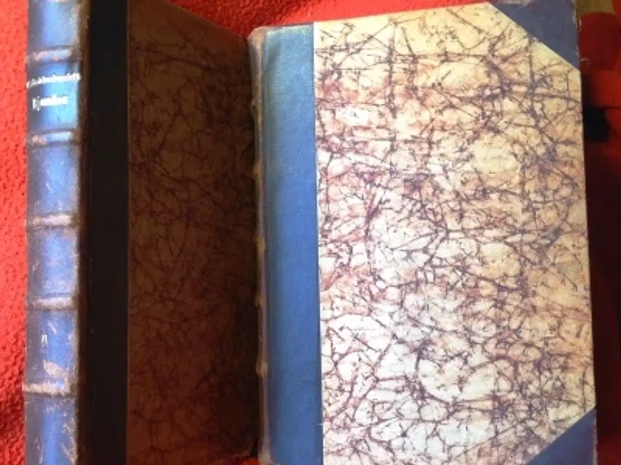 Billede 1 - Meïr Aron Goldschmidt: Hjemløs