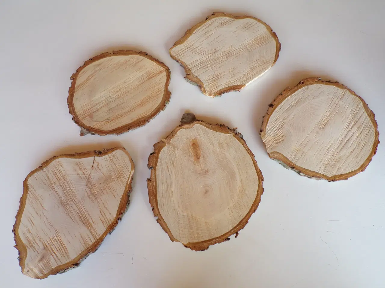 Billede 1 - Nye thuja træskiver 27 - 29 cm
