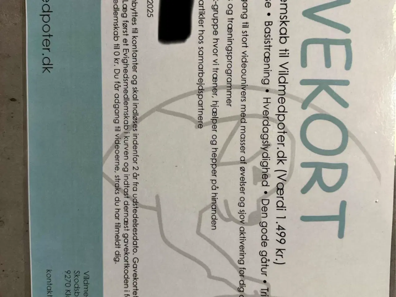 Billede 1 - Hundetræning nyt sælges