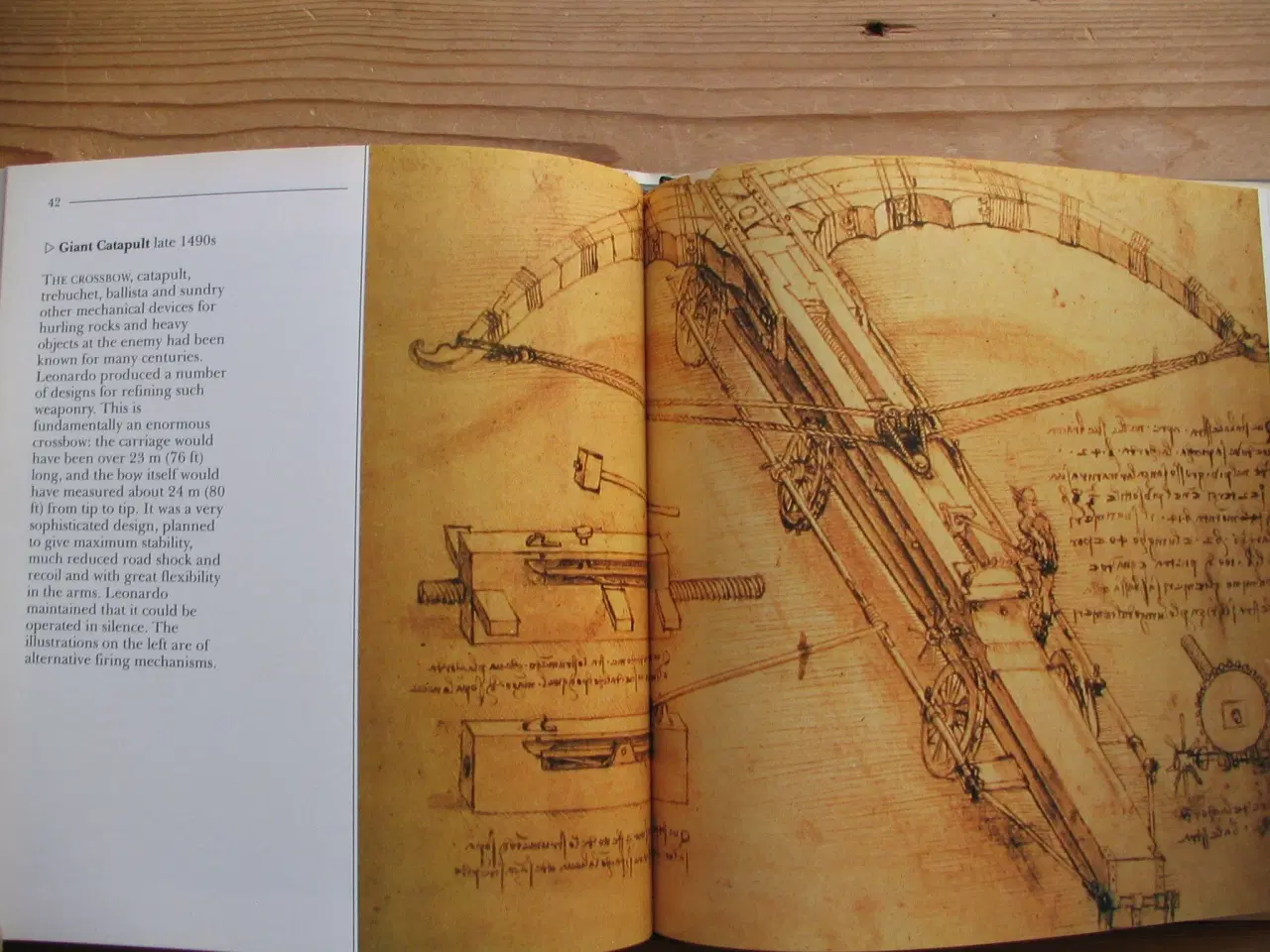 Billede 4 - The Life and works of Leonardo Da Vinci