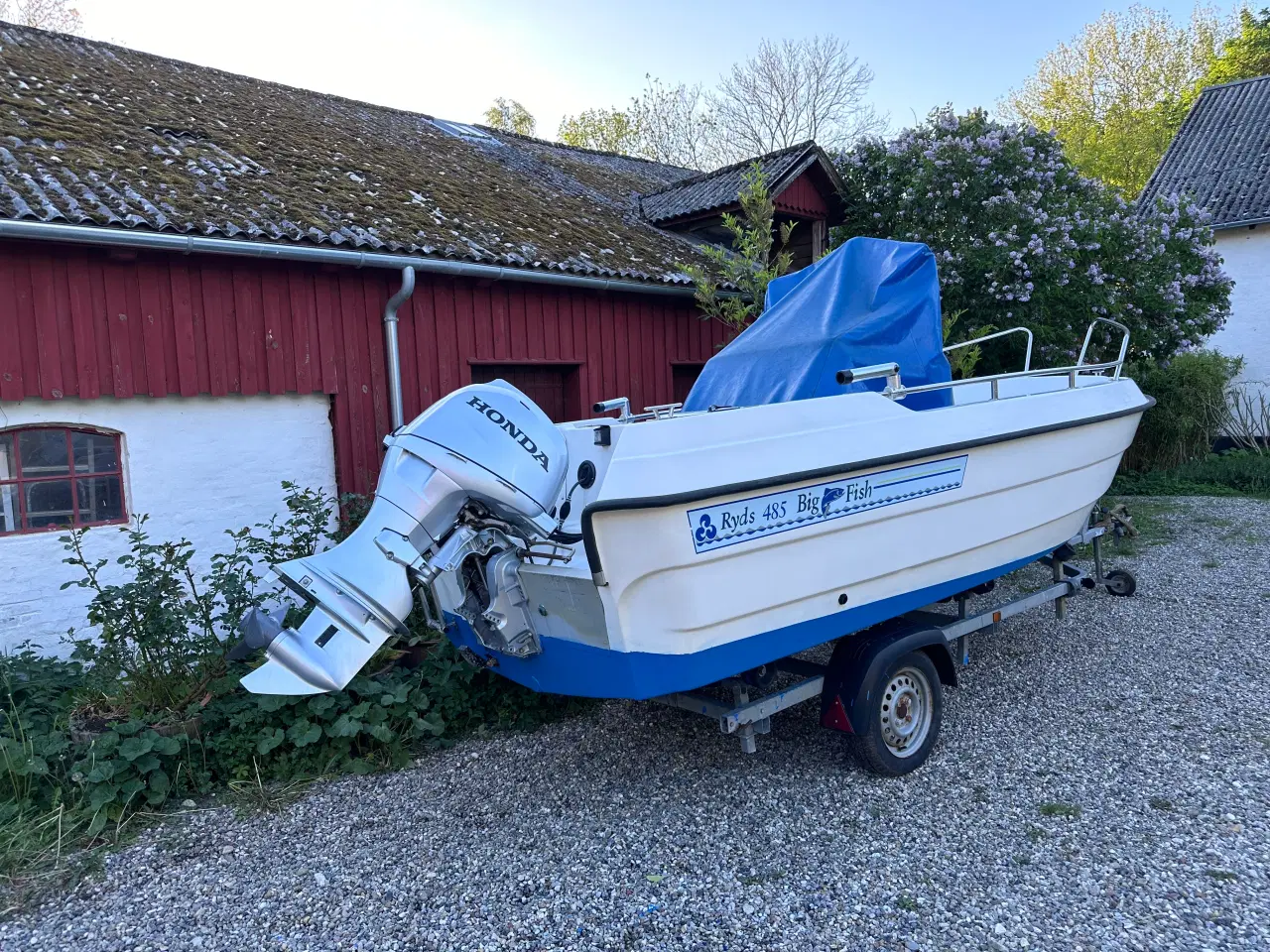 Billede 1 - Ryds 485 Big Fish 