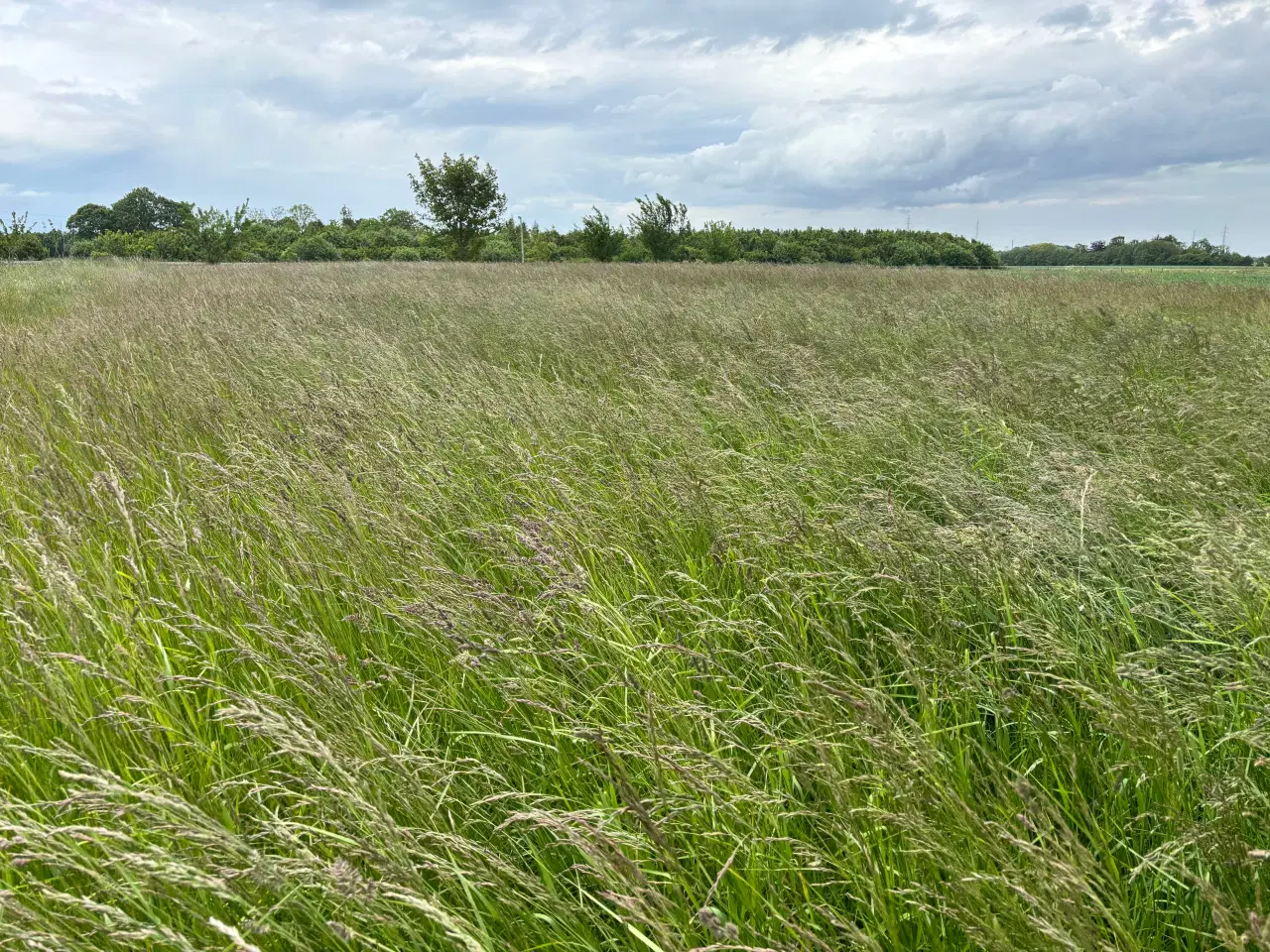 Billede 2 - 2 slet kvalitets wrap