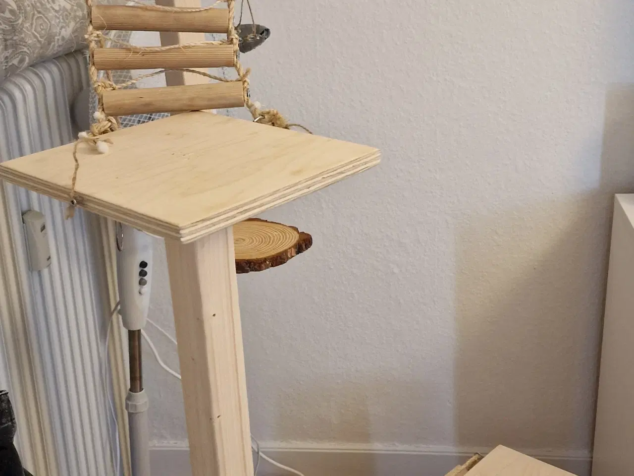 Billede 4 - Meget tam nymfeparakit