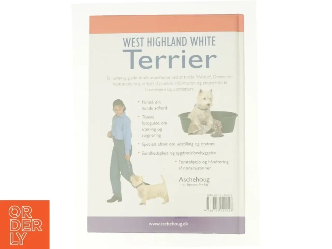 Billede 2 - West hightland white terrier (bog)