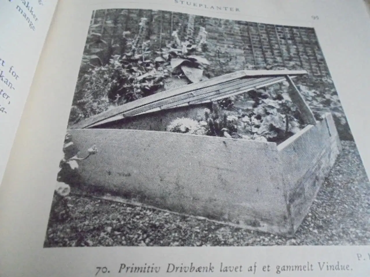 Billede 6 - Natursamleren – Hans Hvass – udg. fra 1942  