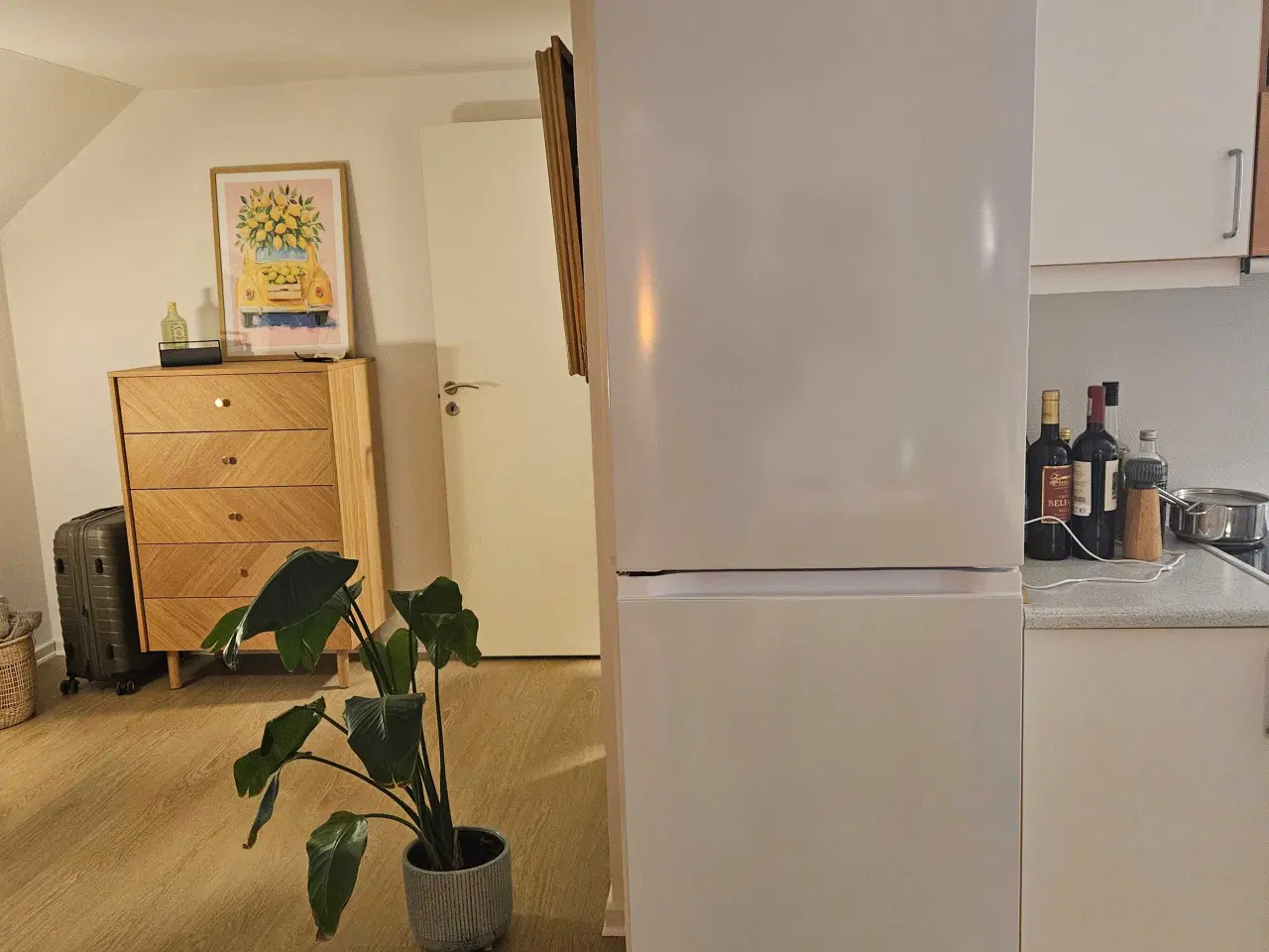 Billede 1 - Halvt år gammel køleskab med fryser