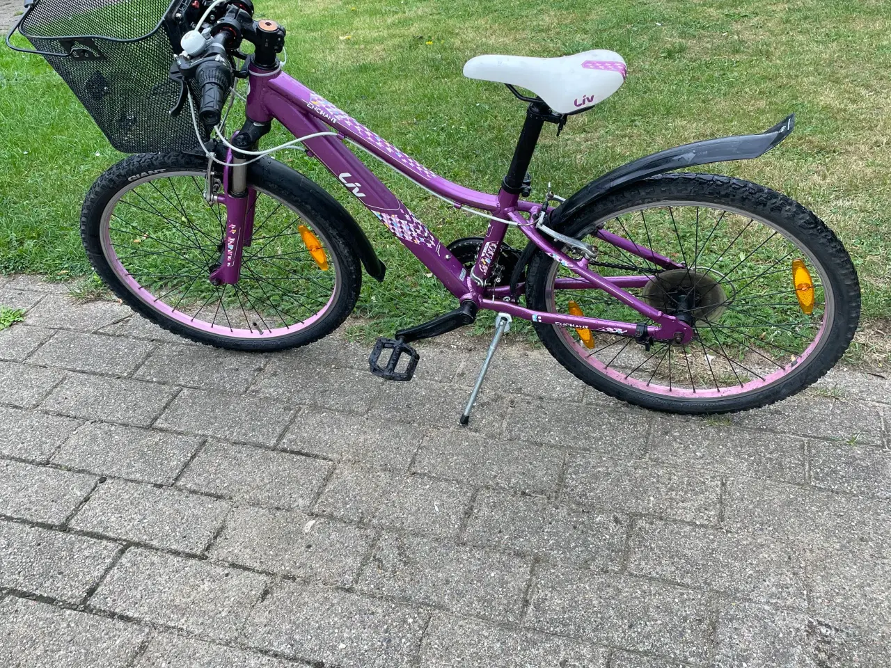 Billede 3 - mountainbike.liv 24 tommer.     aluminum ,21gear.