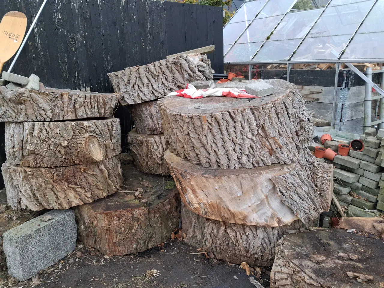 Billede 3 - Pilebrænde