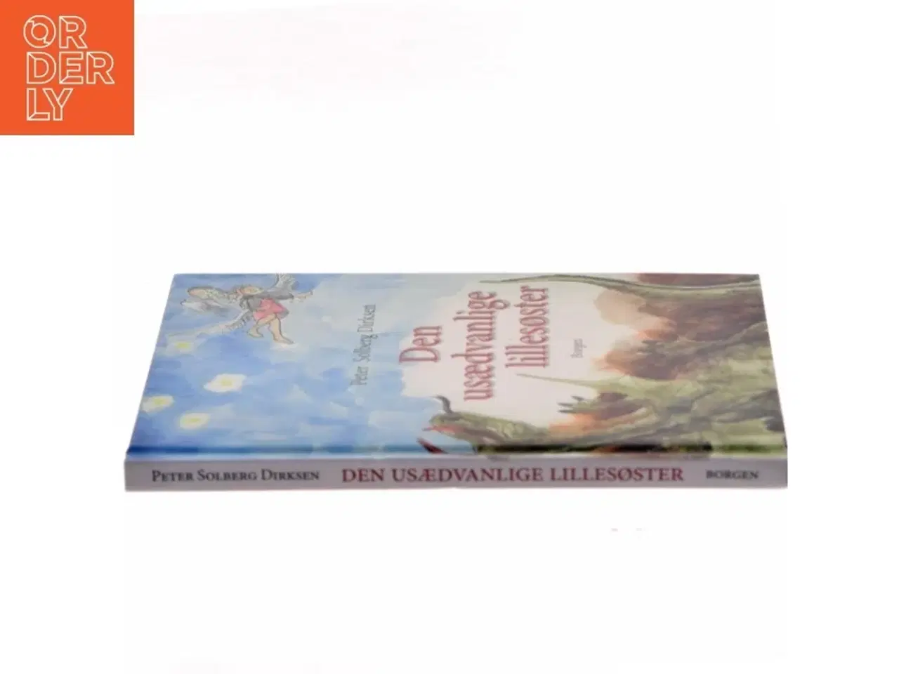 Billede 2 - Den usædvanlige lillesøster : en børnebog for børn og voksne af Peter Solberg Dirksen (Bog)