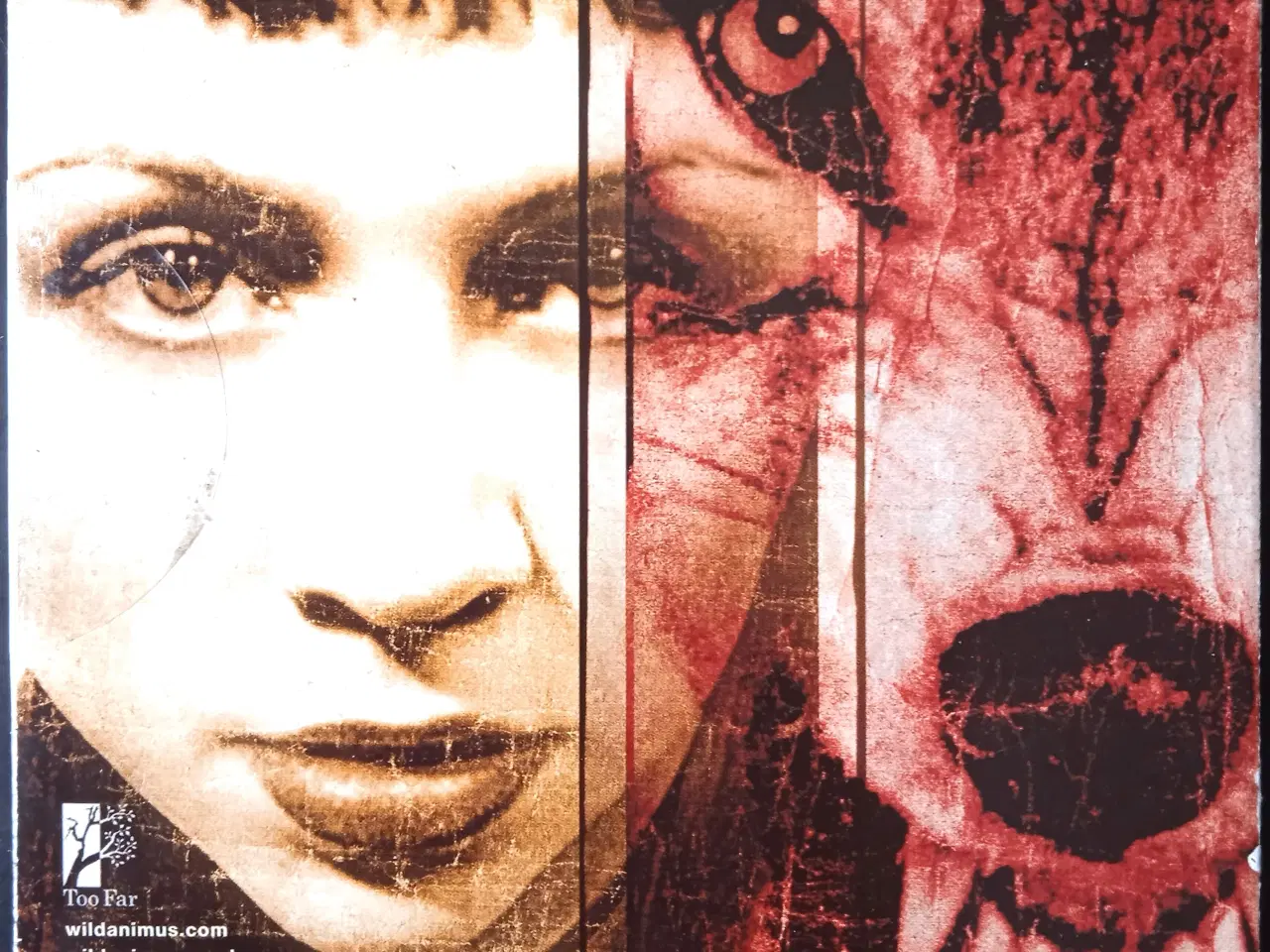 Billede 2 - Rich Shapero: Wild Animus