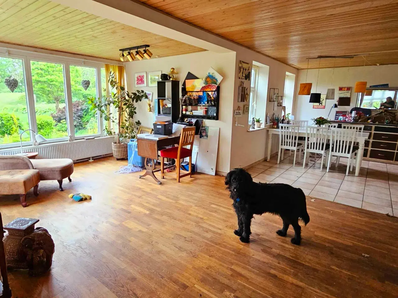 Billede 13 - Sommerhus/helårs bolig ved Bandholm.
