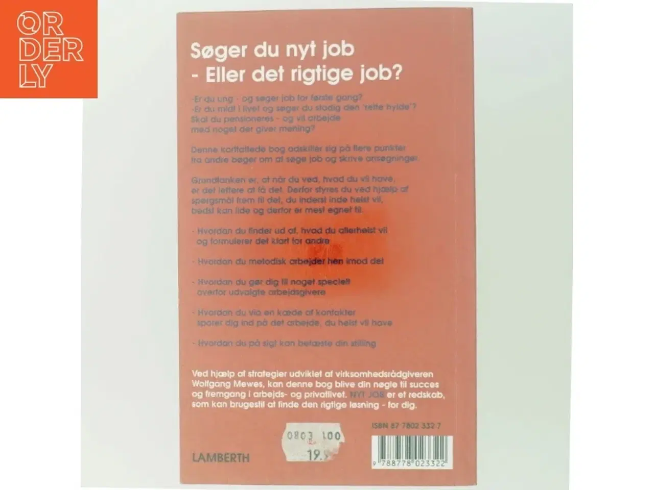 Billede 3 - &#39;Nyt job: find det rigtige job - en trinvis vejledning i effektiv jobsøgning&#39; af Ole Engholm (bog)