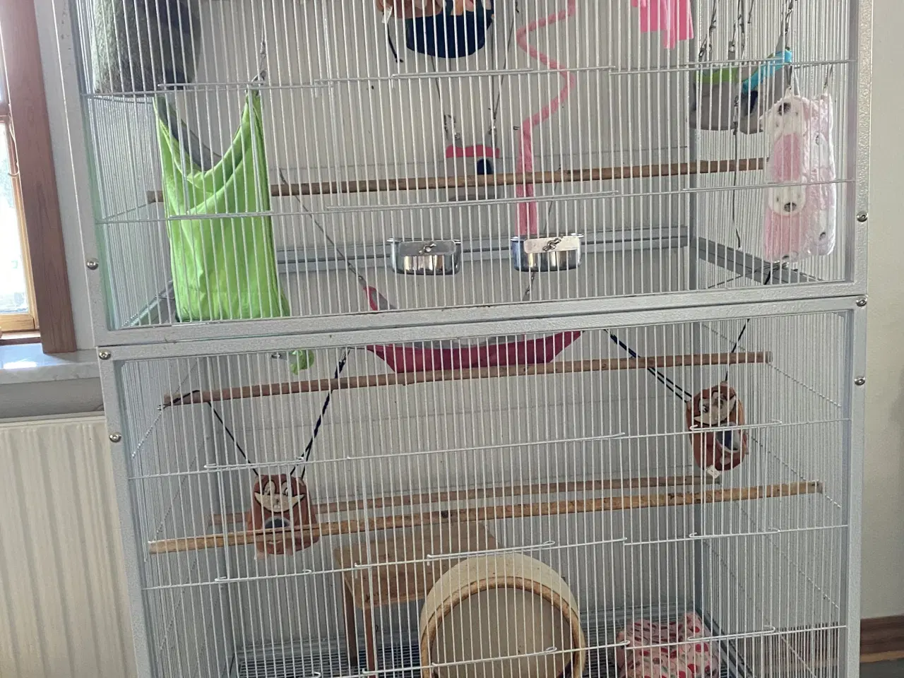 Billede 9 - 6 Sugar glider med stort bur