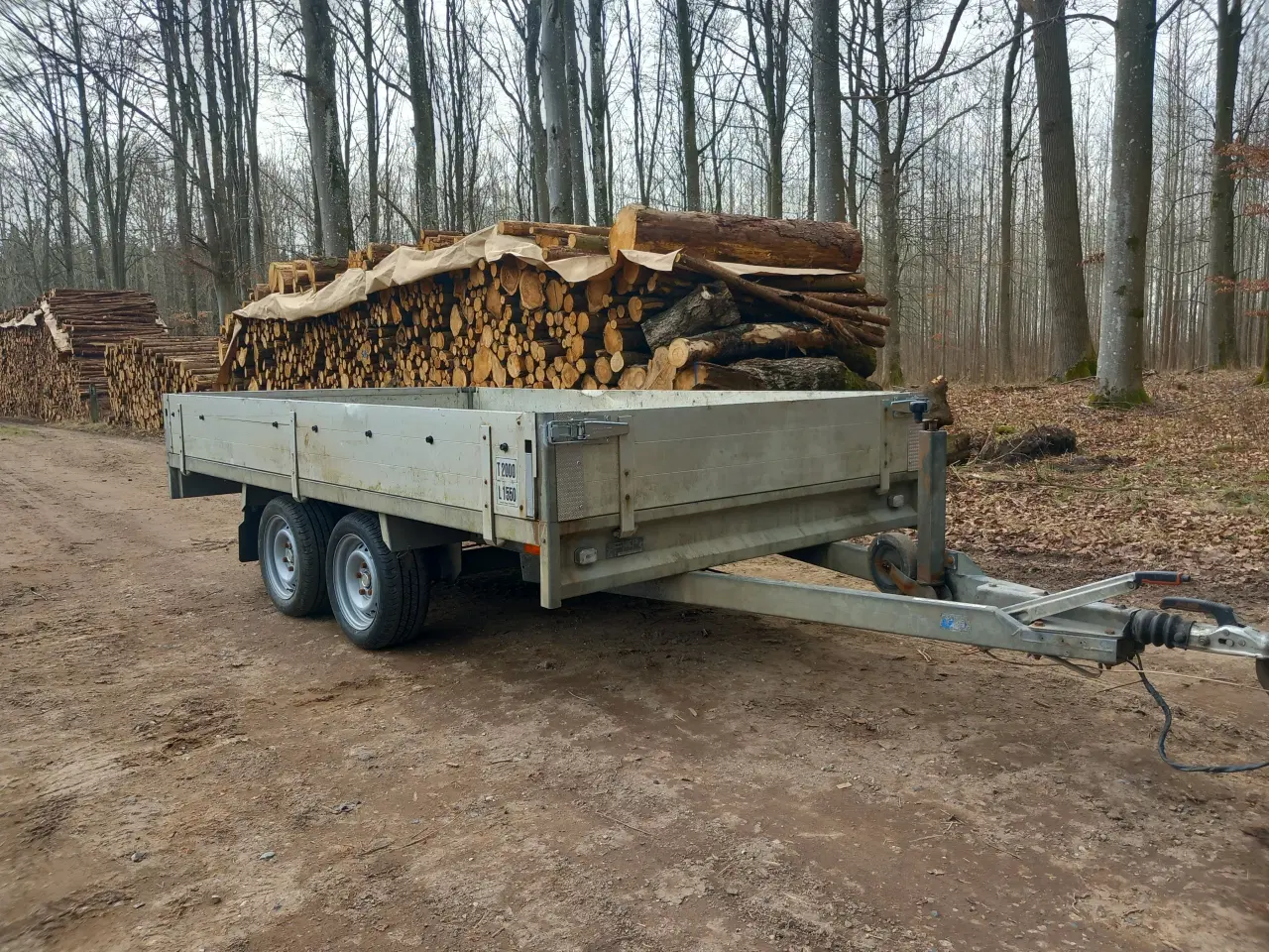Billede 1 - Nysynet Anssems 2000kg. boogietrailer sælges 