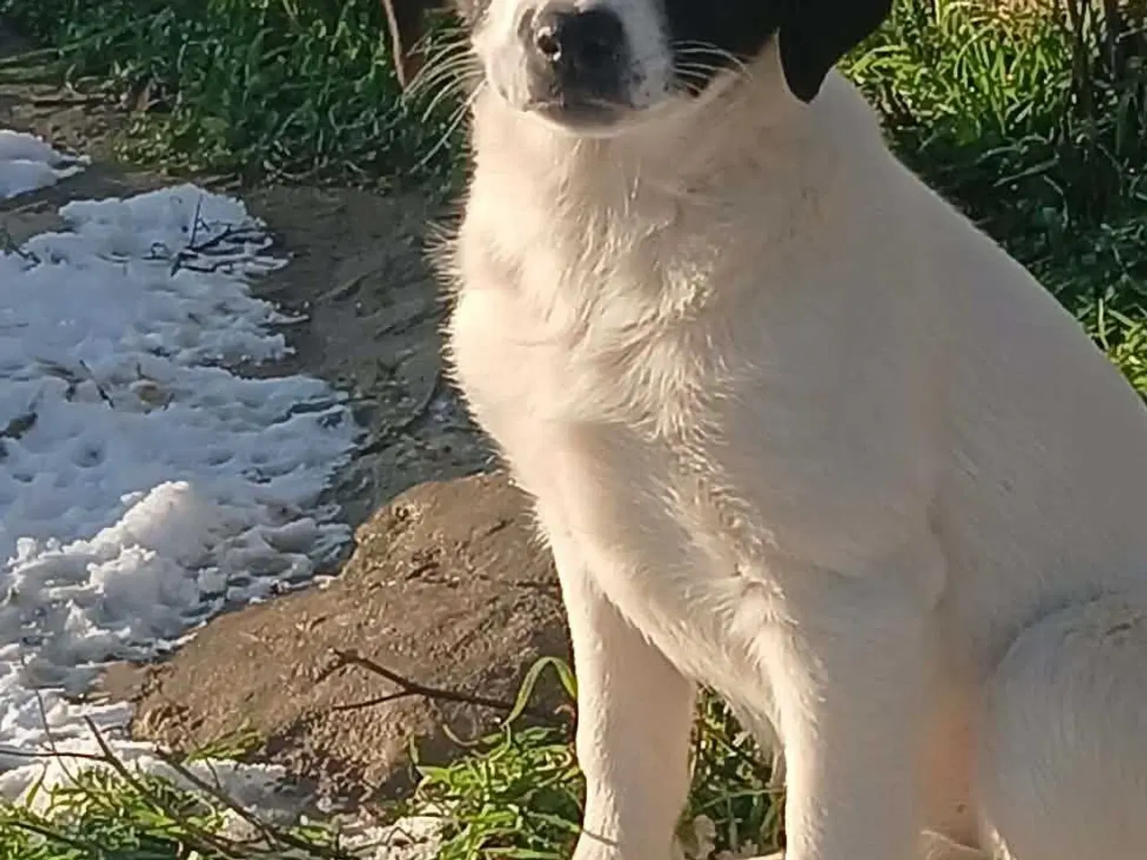 Billede 8 - Skønneste Muriel søger sin egen familie