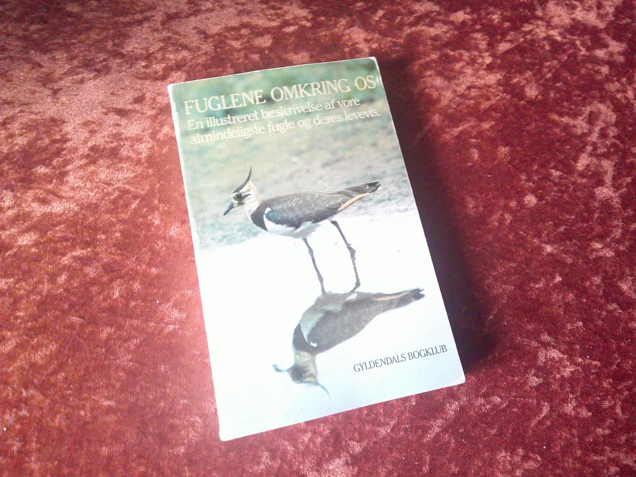 Billede 1 - Fuglene omkring os, Arne Broman, Eric Palmquist