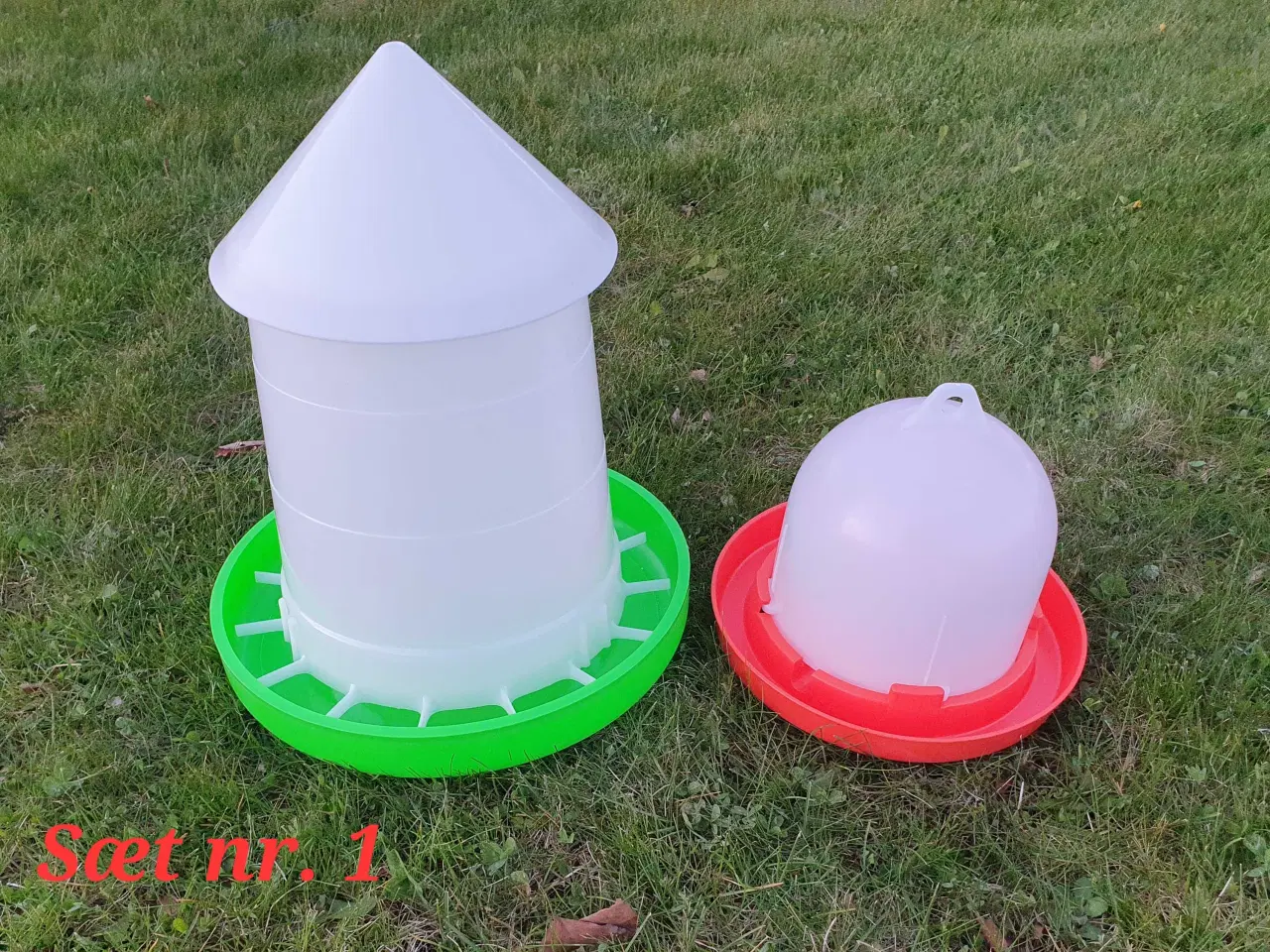 Billede 2 - Havehøns 