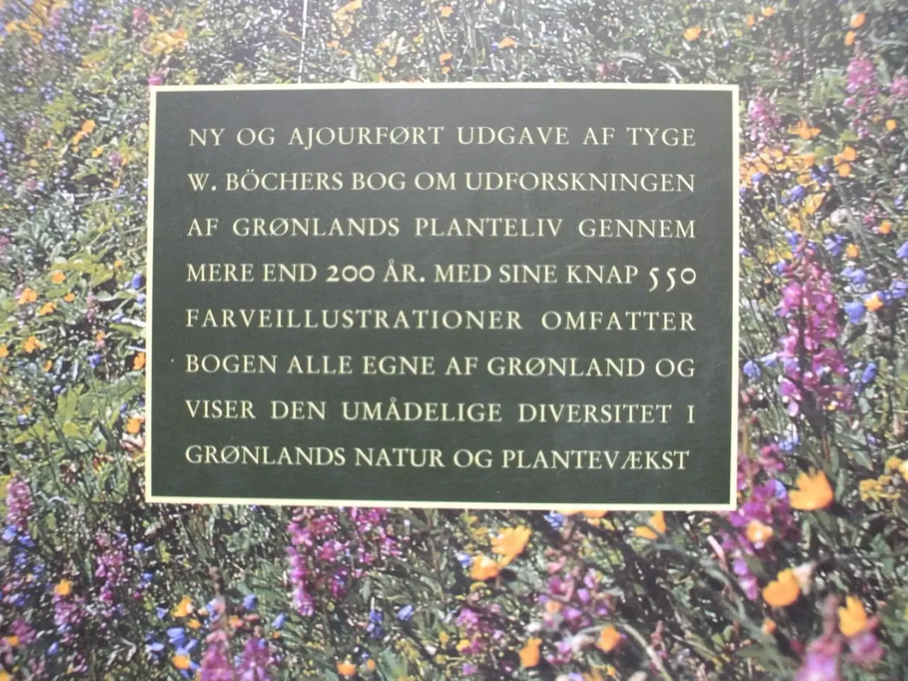 Billede 3 - det grønne grønland, af tyge w. böcher