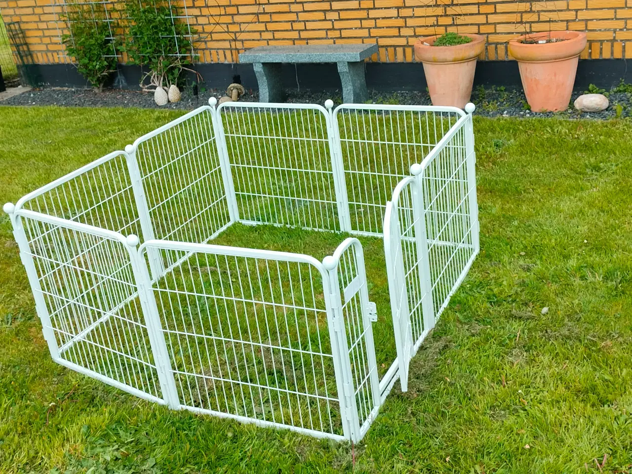 Billede 1 - Hvalpeting mm