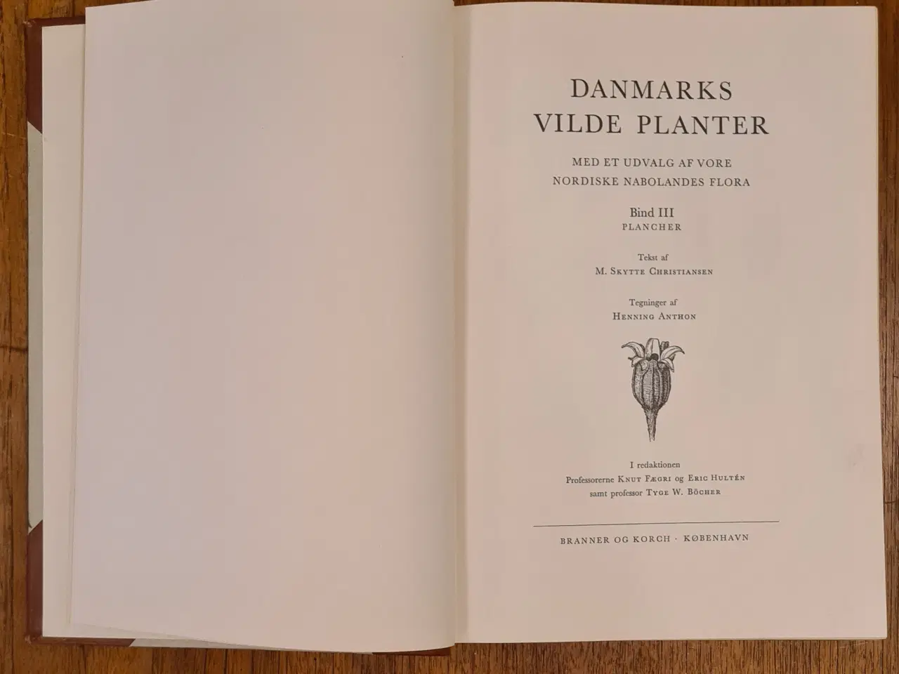Billede 8 - Danmarks Vilde Planter