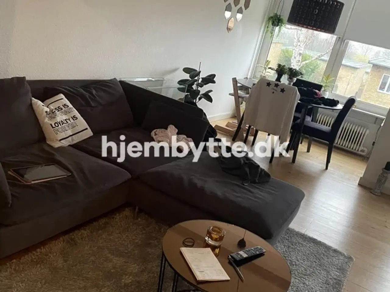 Billede 2 - Hjembytte - Emdrupvej