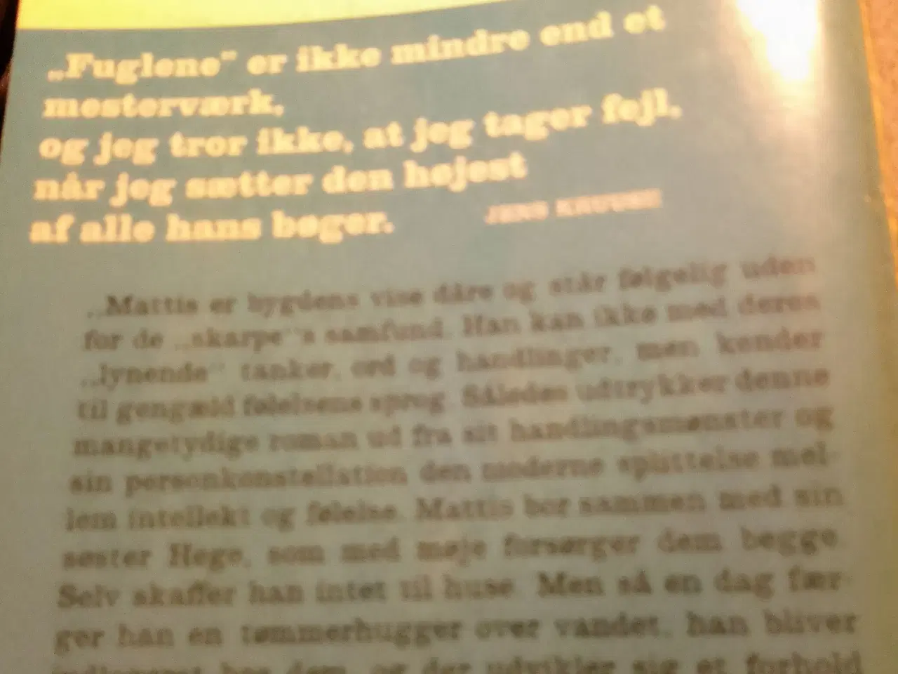 Billede 2 - Tarjei Vesaas: Fuglene. 213 sider.
