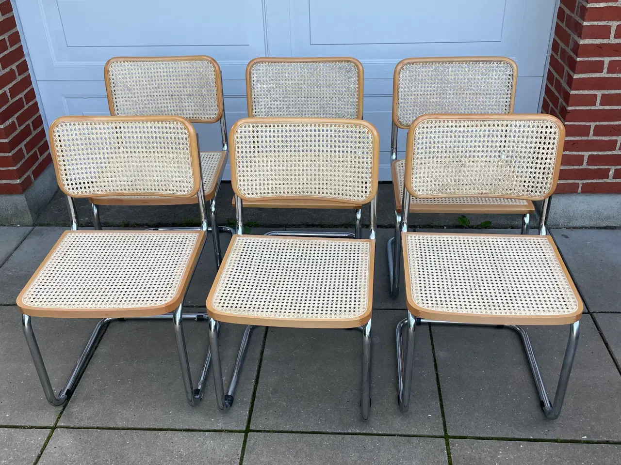 Billede 1 - Frisvinger 