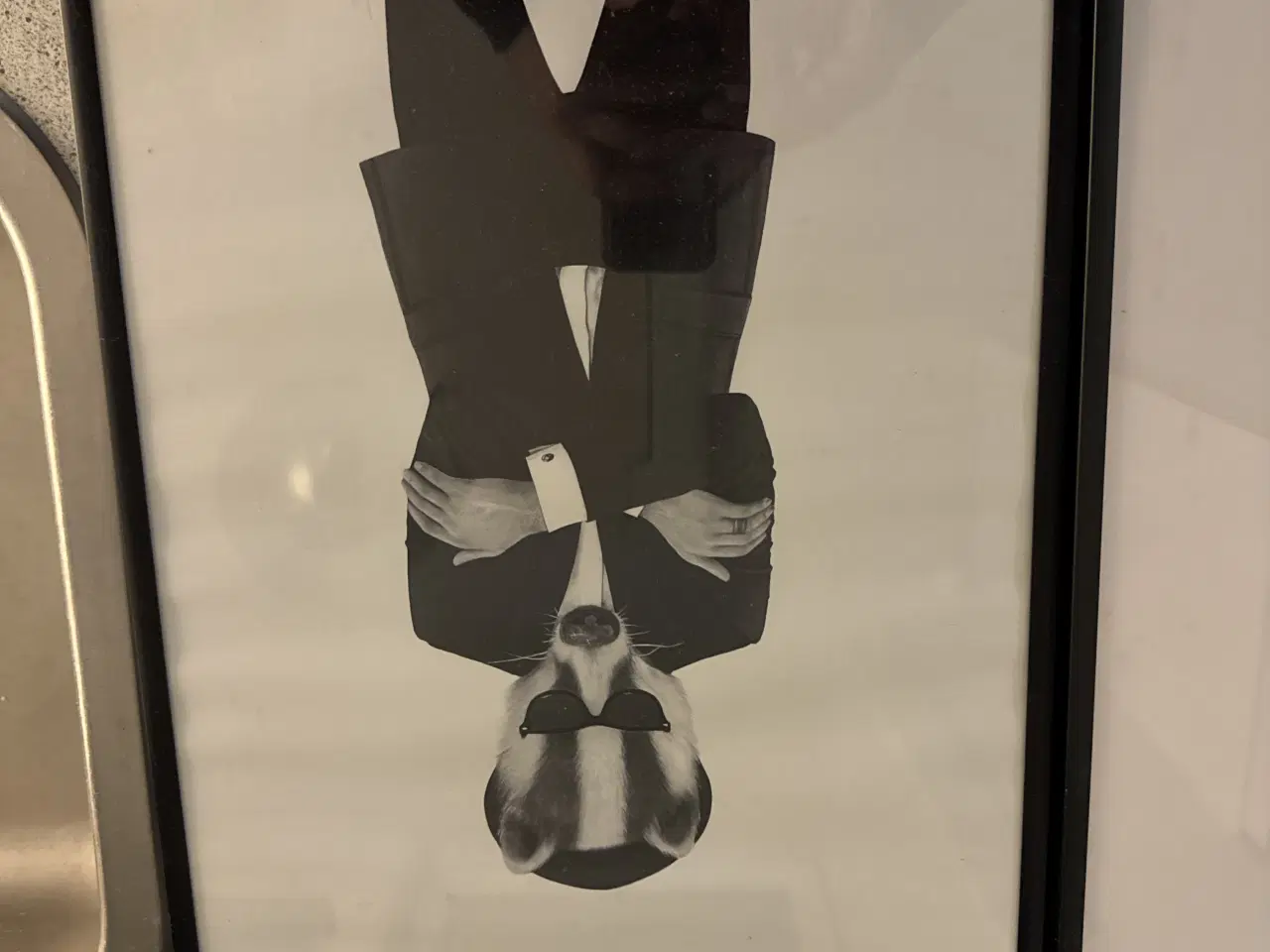 Billede 3 - 2stk billeder med dyremotiver