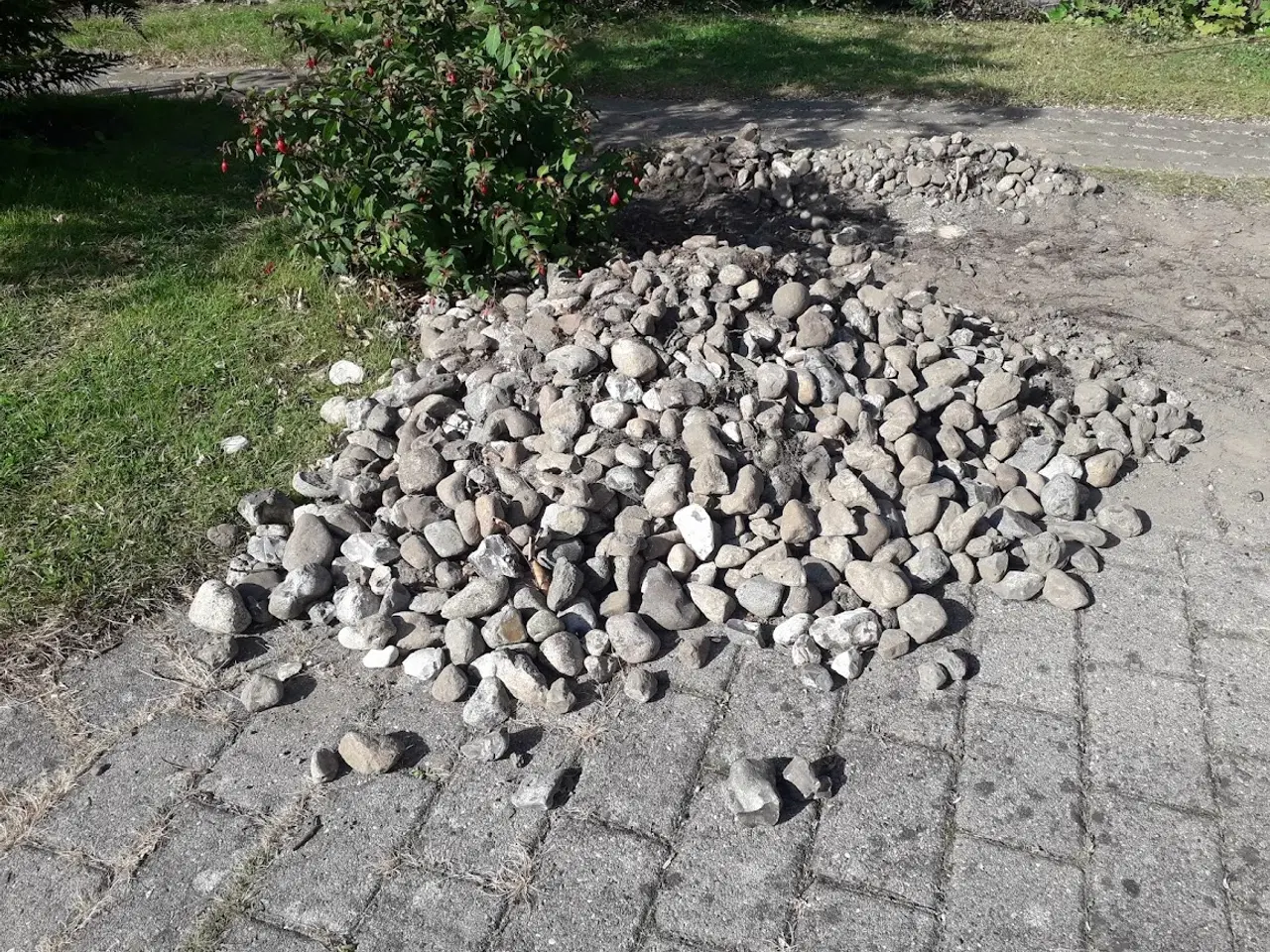 Billede 3 - 🎁 Gives væk – Singels sten fra have 