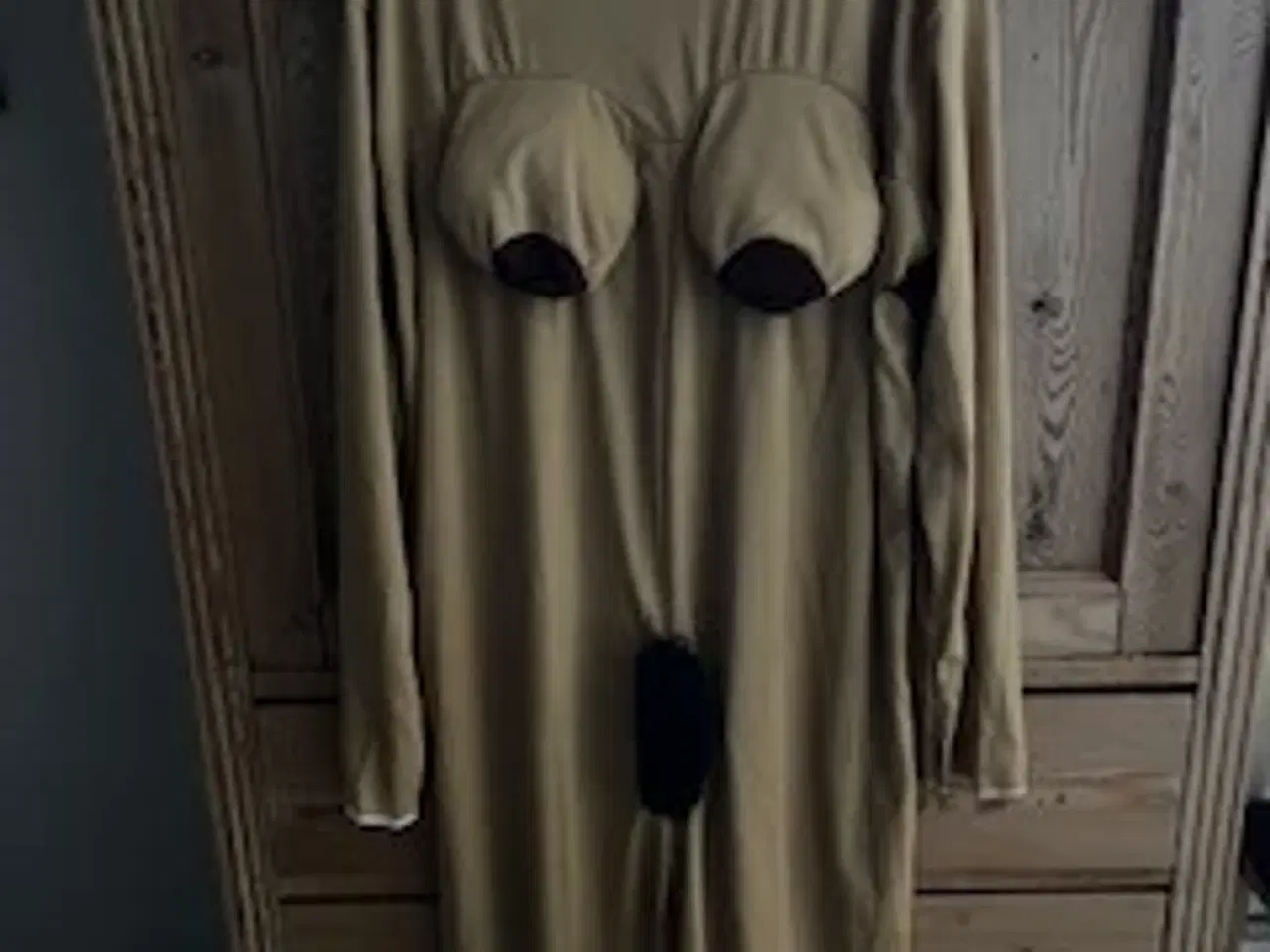 Billede 1 - Nøgen dame fastelavsdragt