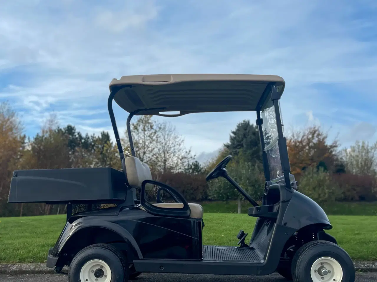 Billede 4 - Elektrisk golfbil (2018)