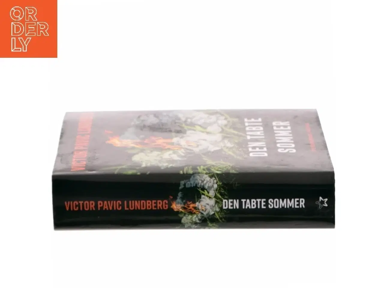 Billede 2 - Den tabte sommer af Victor Pavic Lundberg (f. 1987) (Bog)