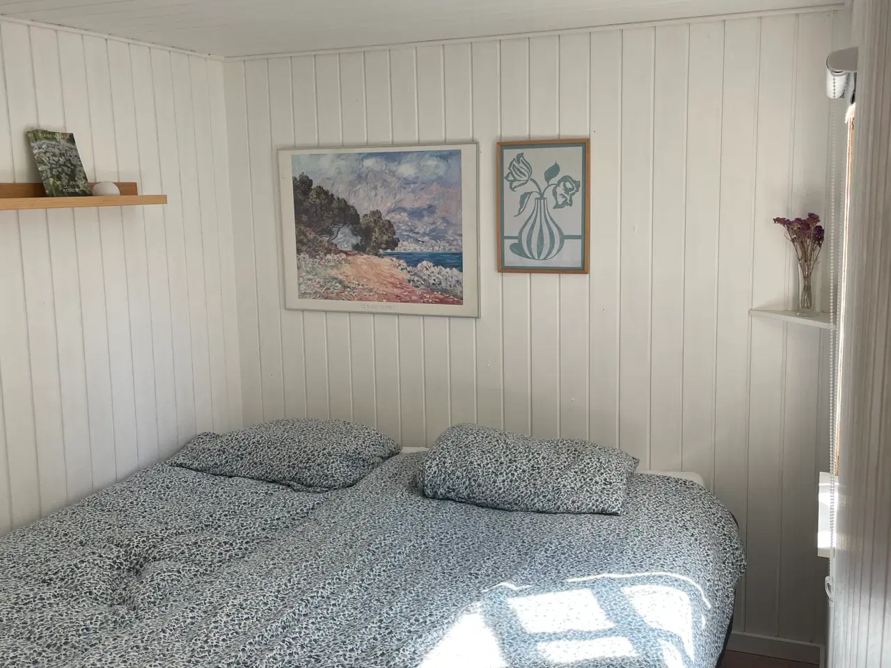 Billede 12 - Hyggelig kolonihave til salg med god beliggenhed 