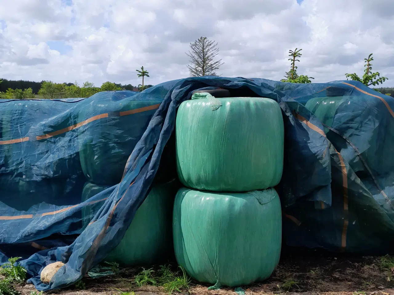 Billede 1 - Wraphø sælges.