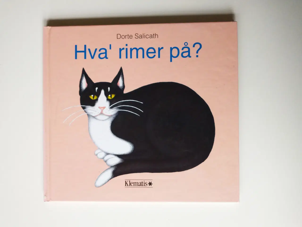 Billede 1 - Hva' rimer på? Af Dorte Salicath