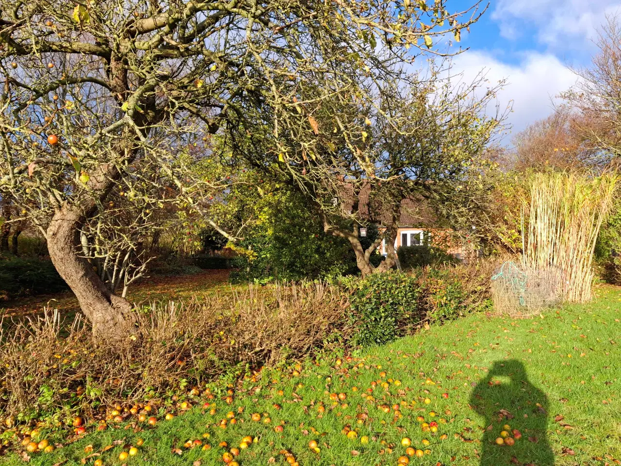 Billede 8 - Hus til renovering eller dejlig byggegrund. 