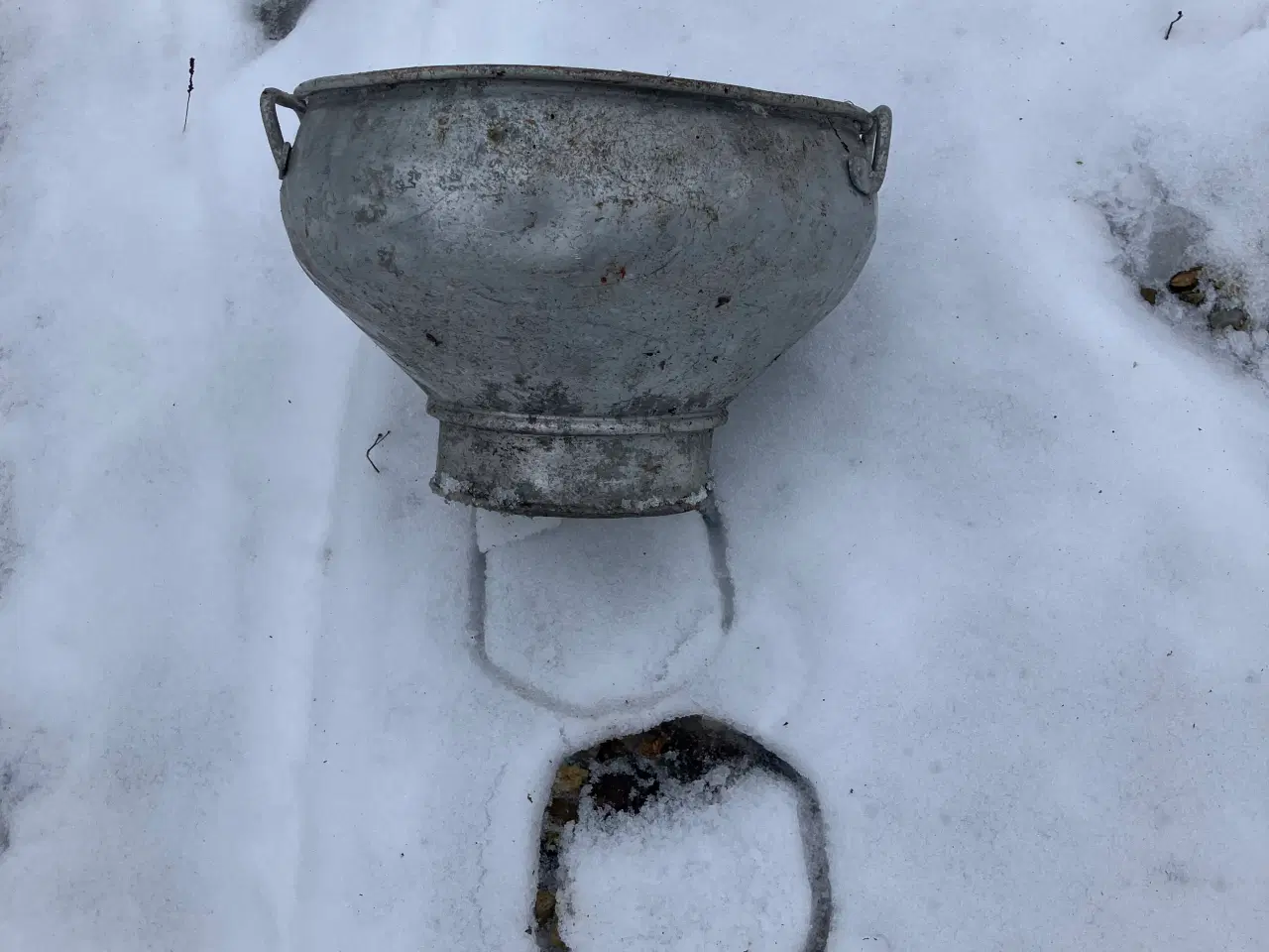 Billede 1 - Mælkesi